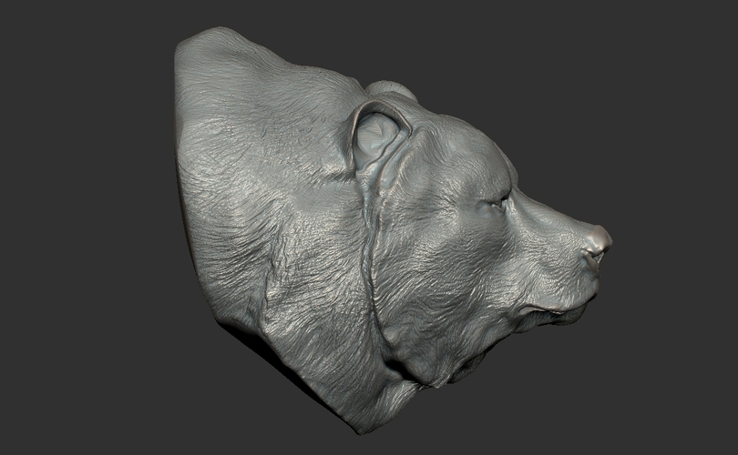 Grizzly bear bust 3D Print 97398
