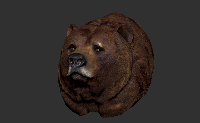 Grizzly bear bust 3D Print 97399