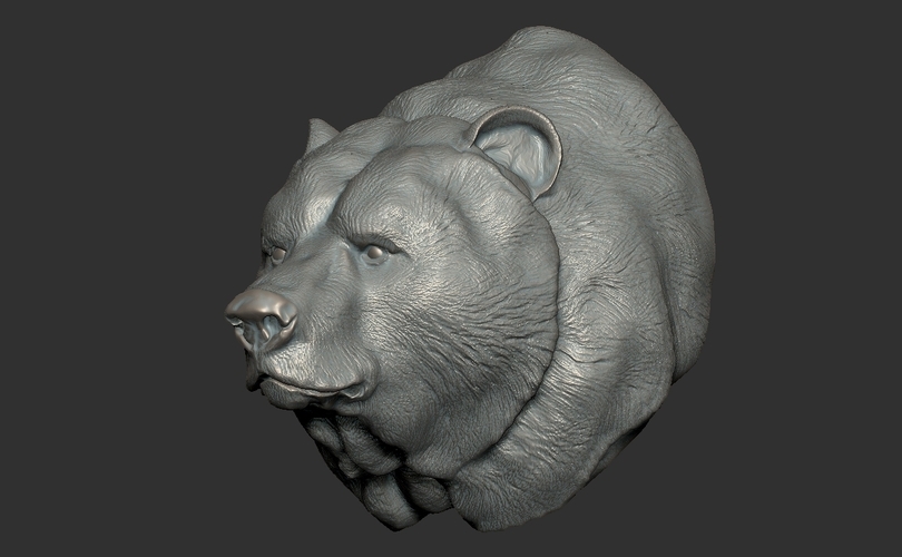 Grizzly bear bust 3D Print 97401