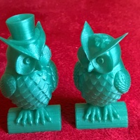 Small His_and_Her_Owls 3D Printing 97684