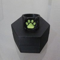 Small Chat Noir's Ring 3D Printing 97692