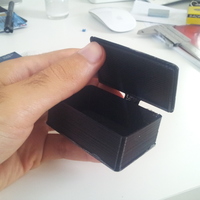 Small Random screws case 3D Printing 98324