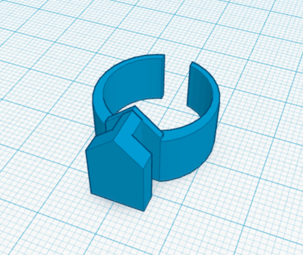 Ring with Surface Attachment 3D Print 98509