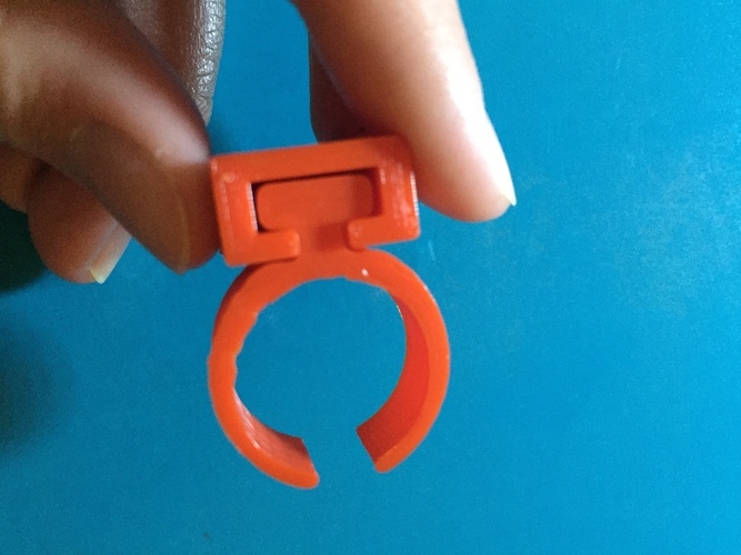 Ring with Surface Attachment 3D Print 98515