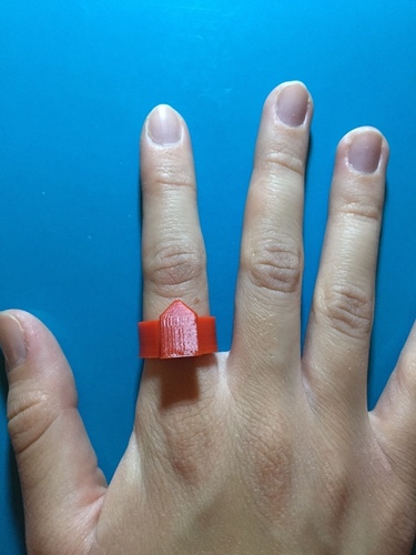 Ring with Surface Attachment 3D Print 98517