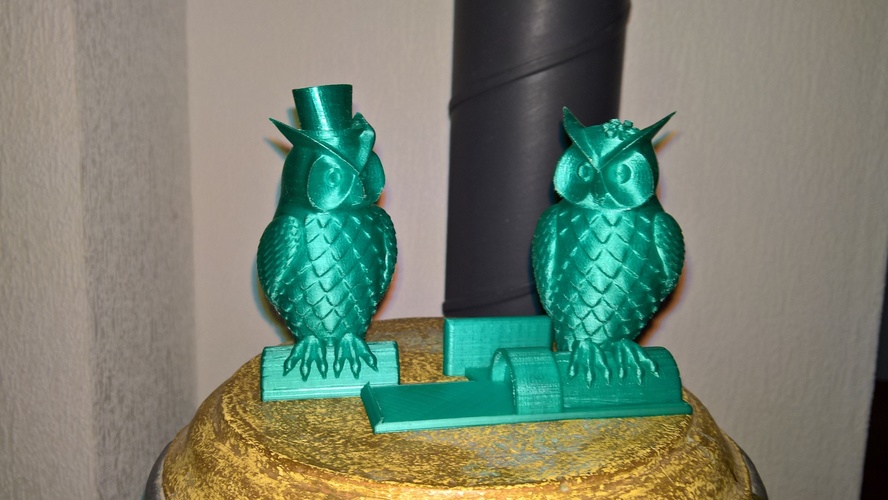 His_and_Her_Owls 3D Print 98742