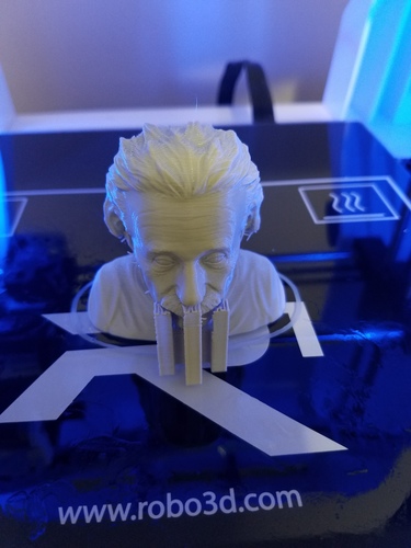 Einstein Bust (14K) 3D Print 11120 Einstein Bust (14K) 3D Print 11120