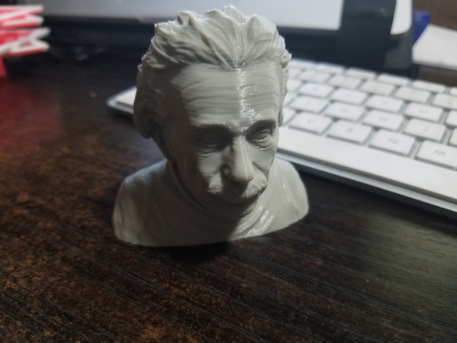 Einstein Bust (14K) 3D Print 11121 Einstein Bust (14K) 3D Print 11121