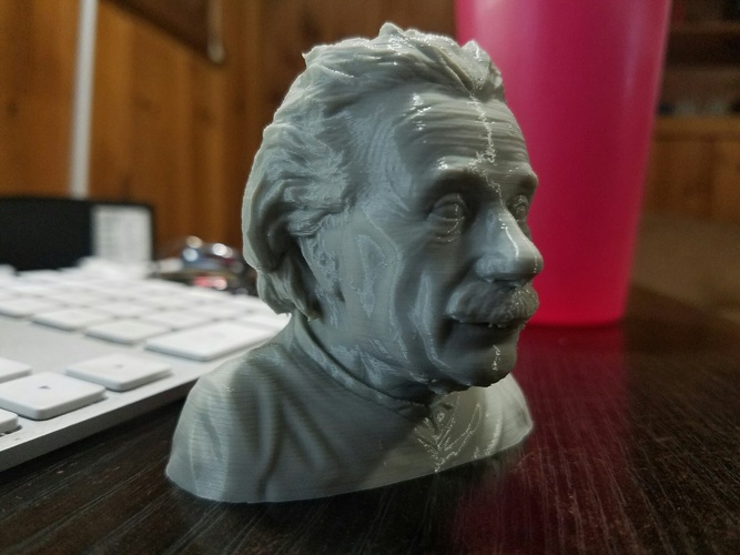 Einstein Bust (14K) 3D Print 11122 Einstein Bust (14K) 3D Print 11122