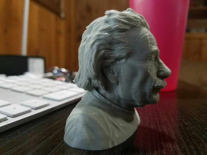 Einstein Bust (14K) 3D Print 11123 Einstein Bust (14K) 3D Print 11123