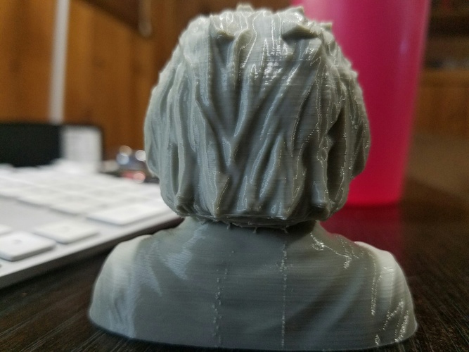 Einstein Bust (14K) 3D Print 11124 Einstein Bust (14K) 3D Print 11124