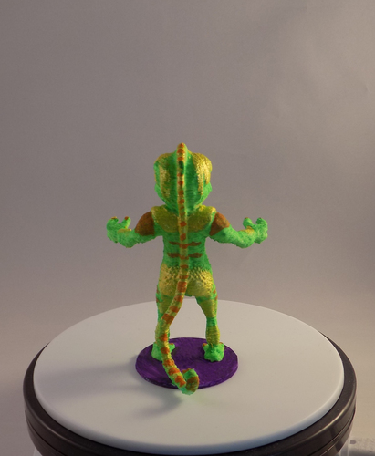 CHAMELEON 3D Print 11553 CHAMELEON 3D Print 11553
