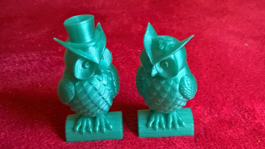His_and_Her_Owls 3D Print 11992 His_and_Her_Owls 3D Print 11992