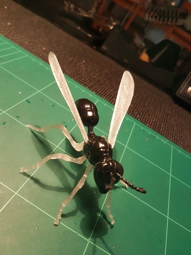 Big Wasp 3D Print 12067 Big Wasp 3D Print 12067