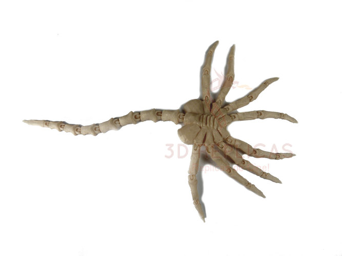 Articulated Facehugger 3D Print 12347 Articulated Facehugger 3D Print 12347
