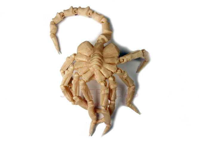 Articulated Facehugger 3D Print 12348 Articulated Facehugger 3D Print 12348