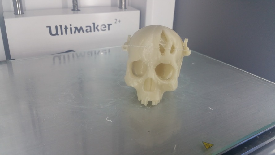 Boneheads: Skull Box w/ Brain - via 3DKitbash.com 3D Print 12402 Boneheads: Skull Box w/ Brain - via 3DKitbash.com 3D Print 12402