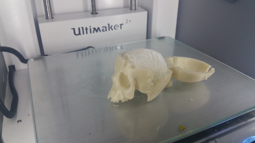Boneheads: Skull Box w/ Brain - via 3DKitbash.com 3D Print 12403 Boneheads: Skull Box w/ Brain - via 3DKitbash.com 3D Print 12403