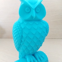 Small Owl 3D Printing 12422