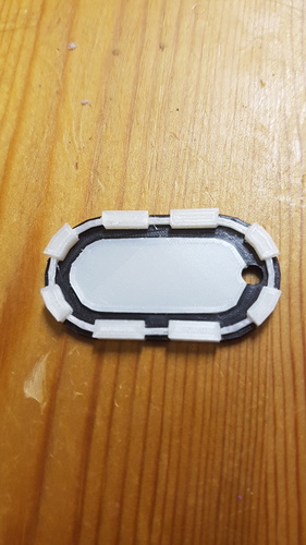 Keychain 2 color 3D Print 12552 Keychain 2 color 3D Print 12552