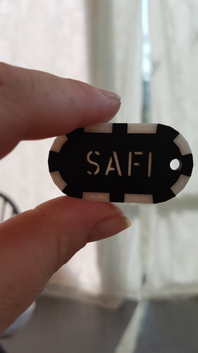 Keychain 2 color 3D Print 12553 Keychain 2 color 3D Print 12553