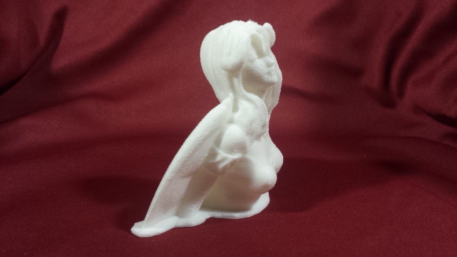Albedo 3D Print 12674 Albedo 3D Print 12674