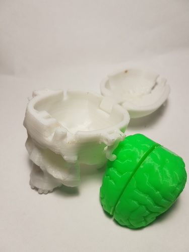 Boneheads: Skull Box w/ Brain - via 3DKitbash.com 3D Print 13086 Boneheads: Skull Box w/ Brain - via 3DKitbash.com 3D Print 13086