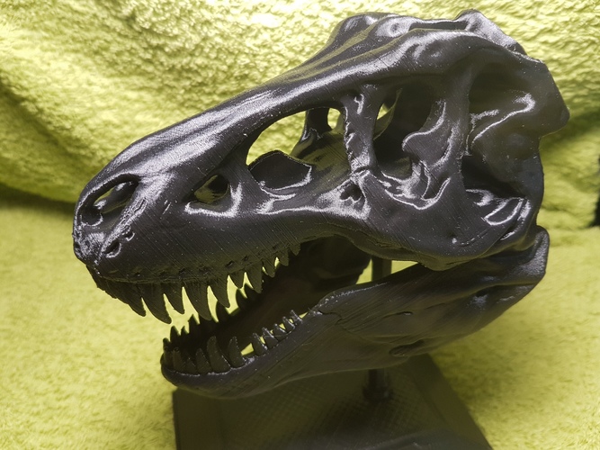 The T-Rex Skull 3D Print 13728 The T-Rex Skull 3D Print 13728