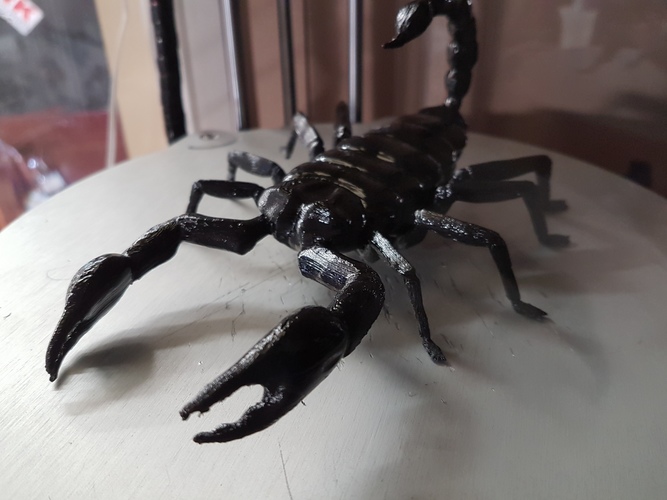 Scorpion. 3D Print 13792 Scorpion. 3D Print 13792