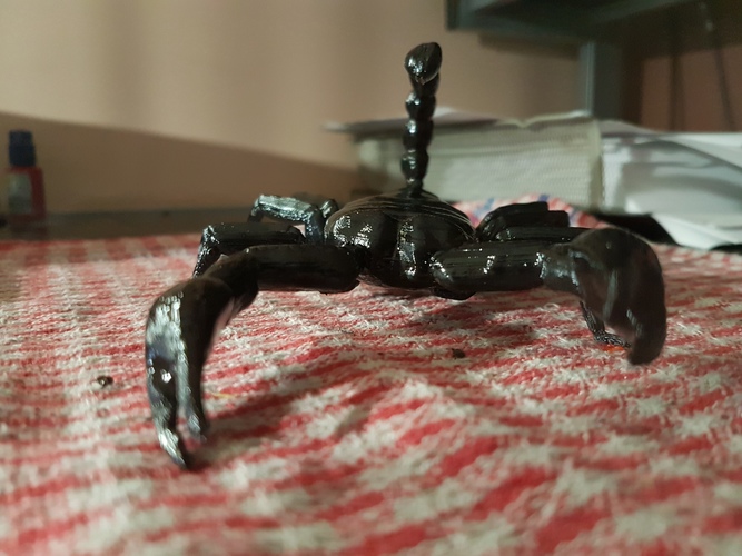 Scorpion. 3D Print 13793 Scorpion. 3D Print 13793