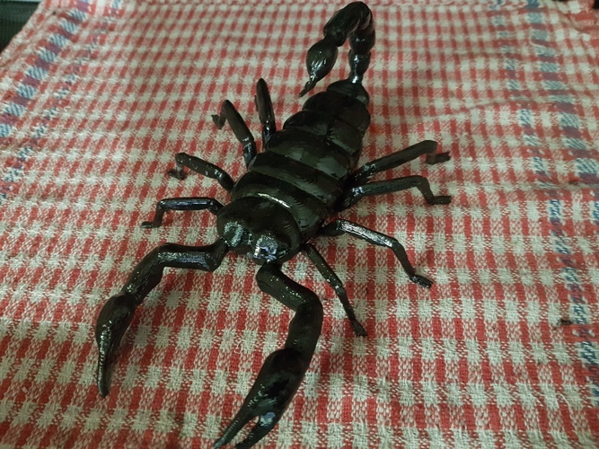Scorpion. 3D Print 13795 Scorpion. 3D Print 13795