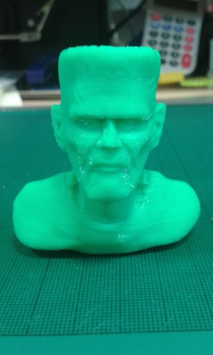 Frankensteins Monster 3D Print 14023 Frankensteins Monster 3D Print 14023
