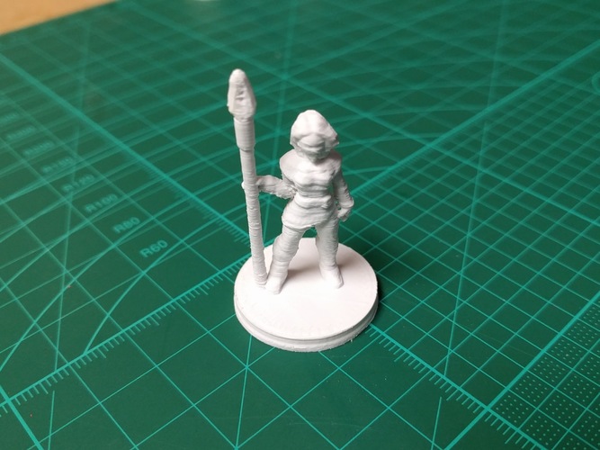 Fantasy Adventuring Party (18mm scale) 3D Print 14194 Fantasy Adventuring Party (18mm scale) 3D Print 14194