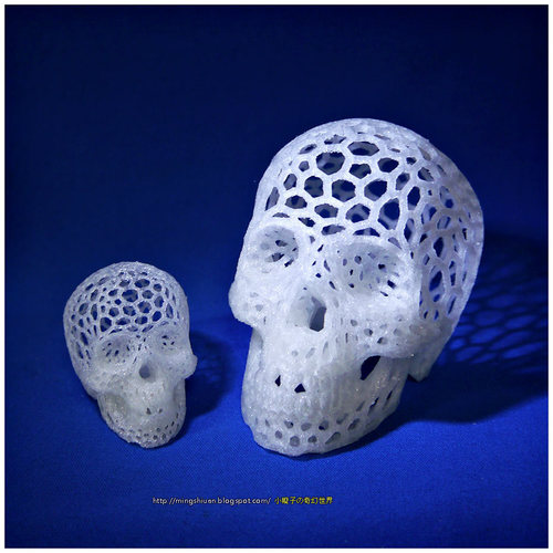 Skull lamps - Voronoi Style 3D Print 14236 Skull lamps - Voronoi Style 3D Print 14236