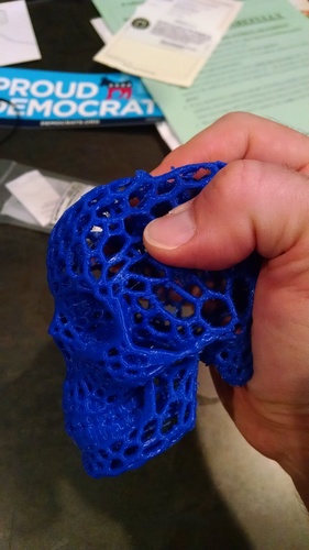 Skull lamps - Voronoi Style 3D Print 14344 Skull lamps - Voronoi Style 3D Print 14344