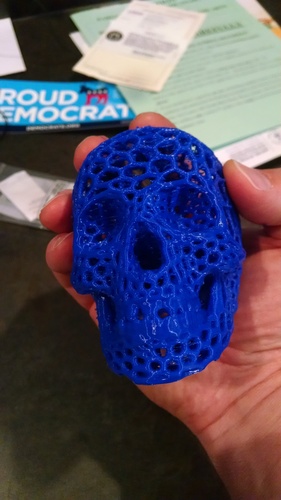 Skull lamps - Voronoi Style 3D Print 14345 Skull lamps - Voronoi Style 3D Print 14345