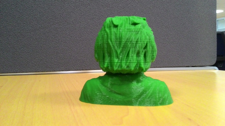Einstein Bust (14K) 3D Print 14550 Einstein Bust (14K) 3D Print 14550
