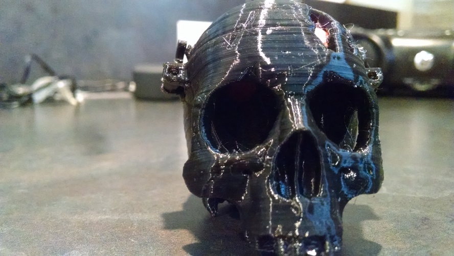 Boneheads: Skull Box w/ Brain - via 3DKitbash.com 3D Print 14635 Boneheads: Skull Box w/ Brain - via 3DKitbash.com 3D Print 14635