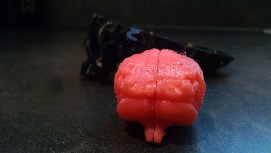 Boneheads: Skull Box w/ Brain - via 3DKitbash.com 3D Print 14636 Boneheads: Skull Box w/ Brain - via 3DKitbash.com 3D Print 14636