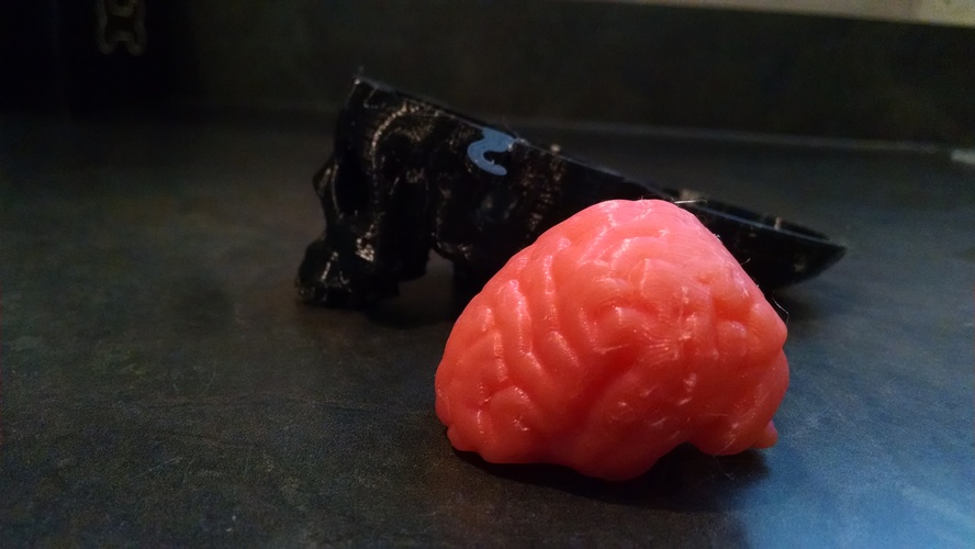 Boneheads: Skull Box w/ Brain - via 3DKitbash.com 3D Print 14637 Boneheads: Skull Box w/ Brain - via 3DKitbash.com 3D Print 14637