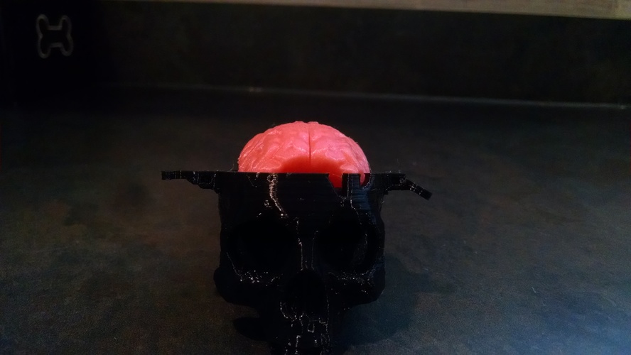 Boneheads: Skull Box w/ Brain - via 3DKitbash.com 3D Print 14639 Boneheads: Skull Box w/ Brain - via 3DKitbash.com 3D Print 14639