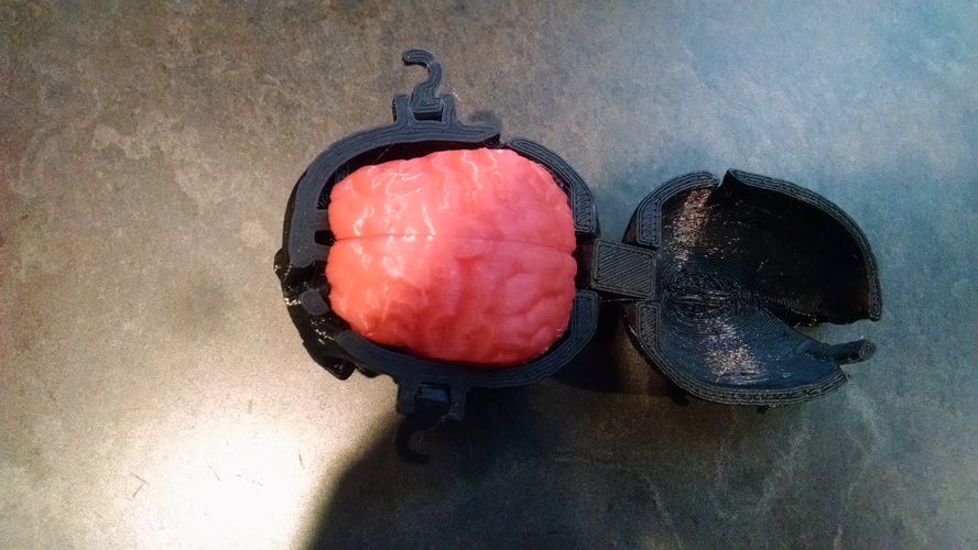 Boneheads: Skull Box w/ Brain - via 3DKitbash.com 3D Print 14640 Boneheads: Skull Box w/ Brain - via 3DKitbash.com 3D Print 14640