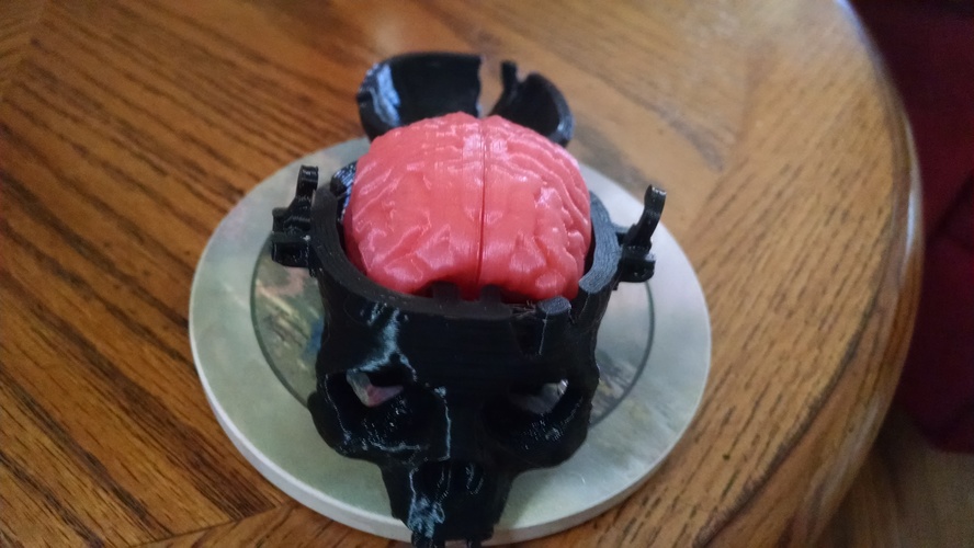 Boneheads: Skull Box w/ Brain - via 3DKitbash.com 3D Print 14642 Boneheads: Skull Box w/ Brain - via 3DKitbash.com 3D Print 14642