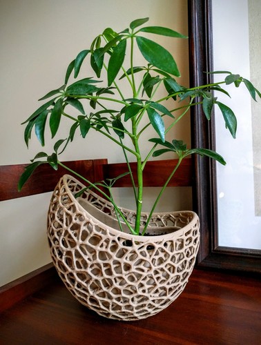 A burgeoning capsule Planter 3D Print 14822 A burgeoning capsule Planter 3D Print 14822