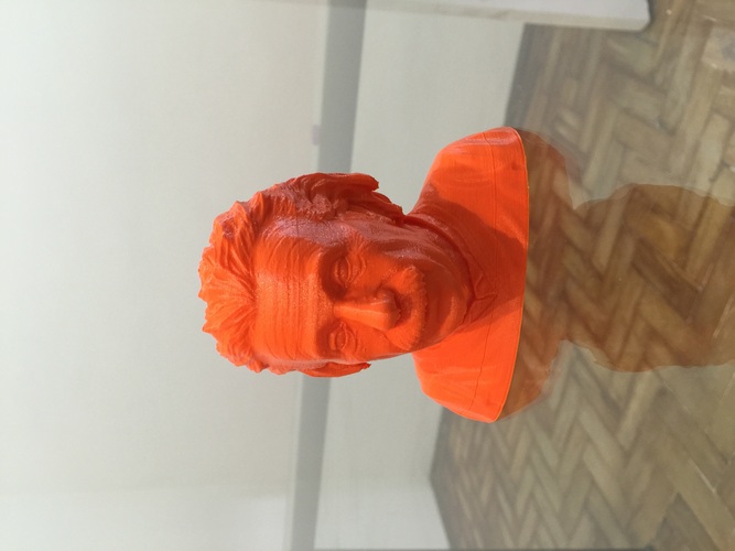 Einstein Bust (14K) 3D Print 1514 Einstein Bust (14K) 3D Print 1514