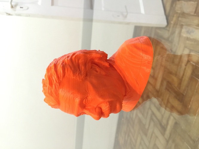 Einstein Bust (14K) 3D Print 1515 Einstein Bust (14K) 3D Print 1515