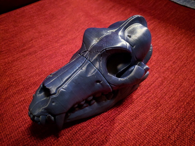 Boneheads S1: Wolf Skull w/ Jaw - 3DKitbash.com 3D Print 15939 Boneheads S1: Wolf Skull w/ Jaw - 3DKitbash.com 3D Print 15939