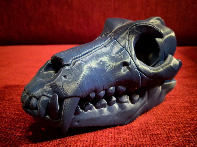 Boneheads S1: Wolf Skull w/ Jaw - 3DKitbash.com 3D Print 15940 Boneheads S1: Wolf Skull w/ Jaw - 3DKitbash.com 3D Print 15940