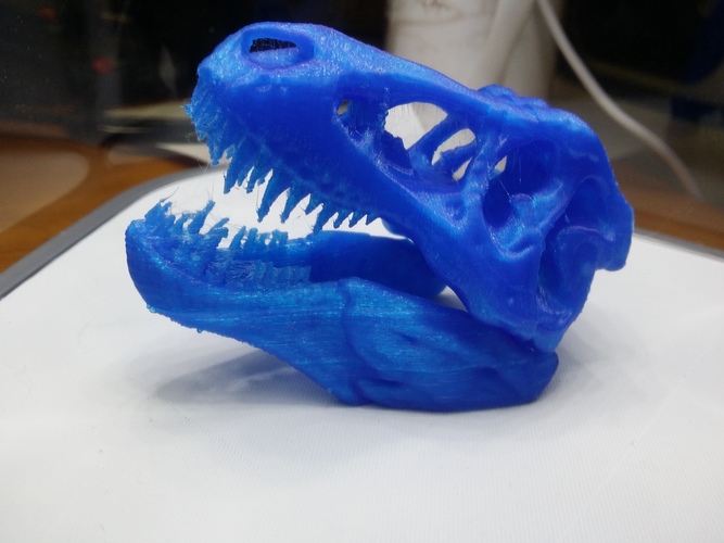 The T-Rex Skull 3D Print 16528 The T-Rex Skull 3D Print 16528