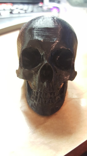 Skull 3D Print 16971 Skull 3D Print 16971
